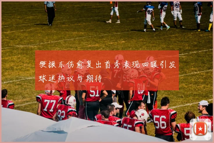 樊振东伤愈复出首秀表现回暖引发球迷热议与期待