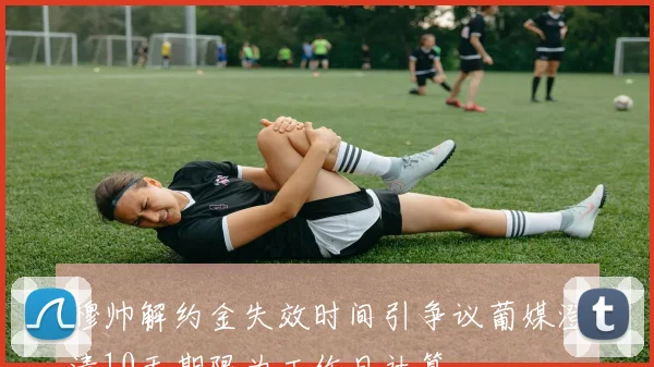 穆帅解约金失效时间引争议葡媒澄清10天期限为工作日计算