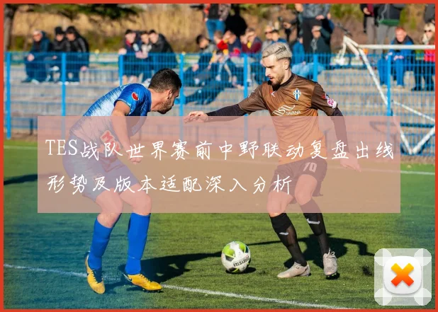 TES战队世界赛前中野联动复盘出线形势及版本适配深入分析