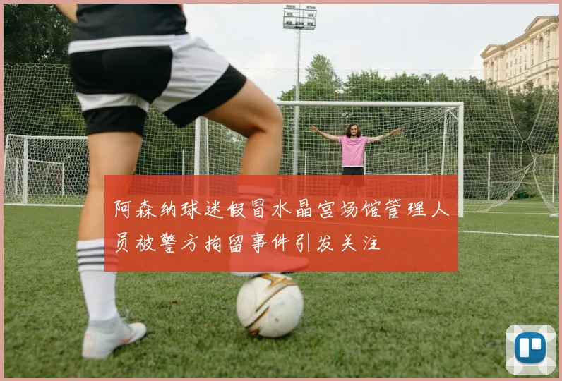 阿森纳球迷假冒水晶宫场馆管理人员被警方拘留事件引发关注